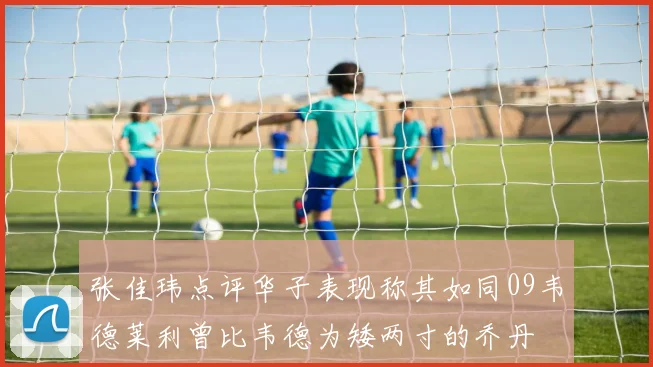 张佳玮点评华子表现称其如同09韦德莱利曾比韦德为矮两寸的乔丹