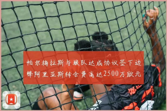 帕尔梅拉斯与狼队达成协议签下边锋阿里亚斯转会费高达2500万欧元