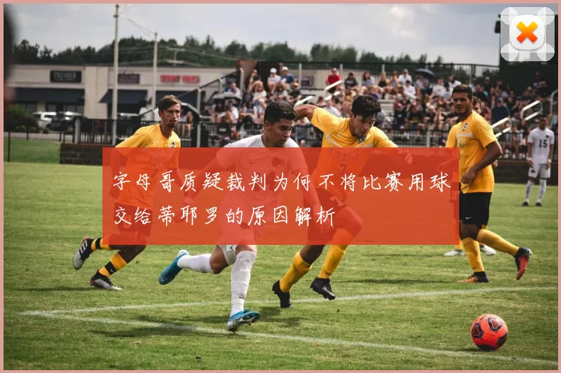 字母哥质疑裁判为何不将比赛用球交给蒂耶罗的原因解析