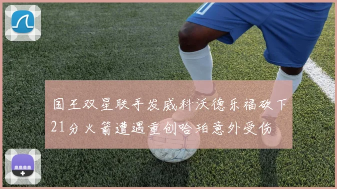 国王双星联手发威科沃德乐福砍下21分火箭遭遇重创哈珀意外受伤