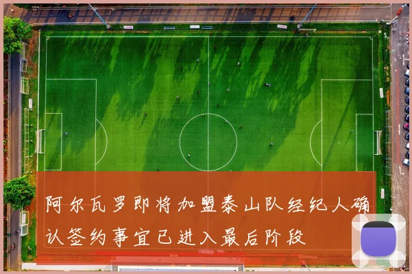 阿尔瓦罗即将加盟泰山队经纪人确认签约事宜已进入最后阶段
