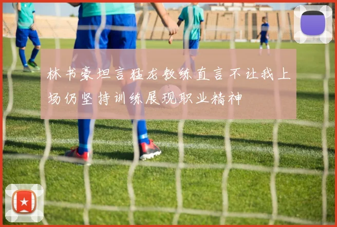 林书豪坦言猛龙教练直言不让我上场仍坚持训练展现职业精神