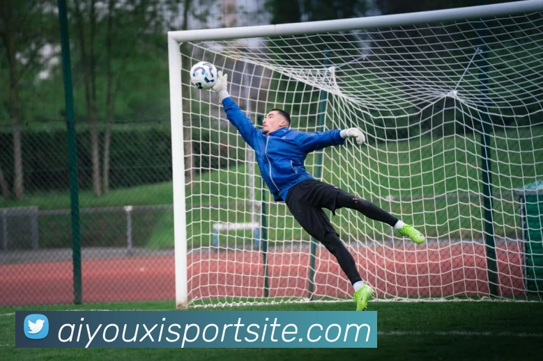 爱游戏体育平台生态图