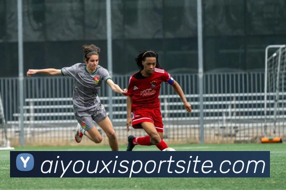 爱游戏体育全站App